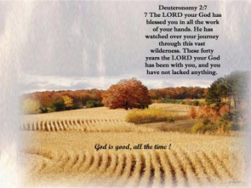 deuteronomy27.jpg